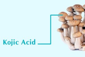 Kojic Acid là gì?